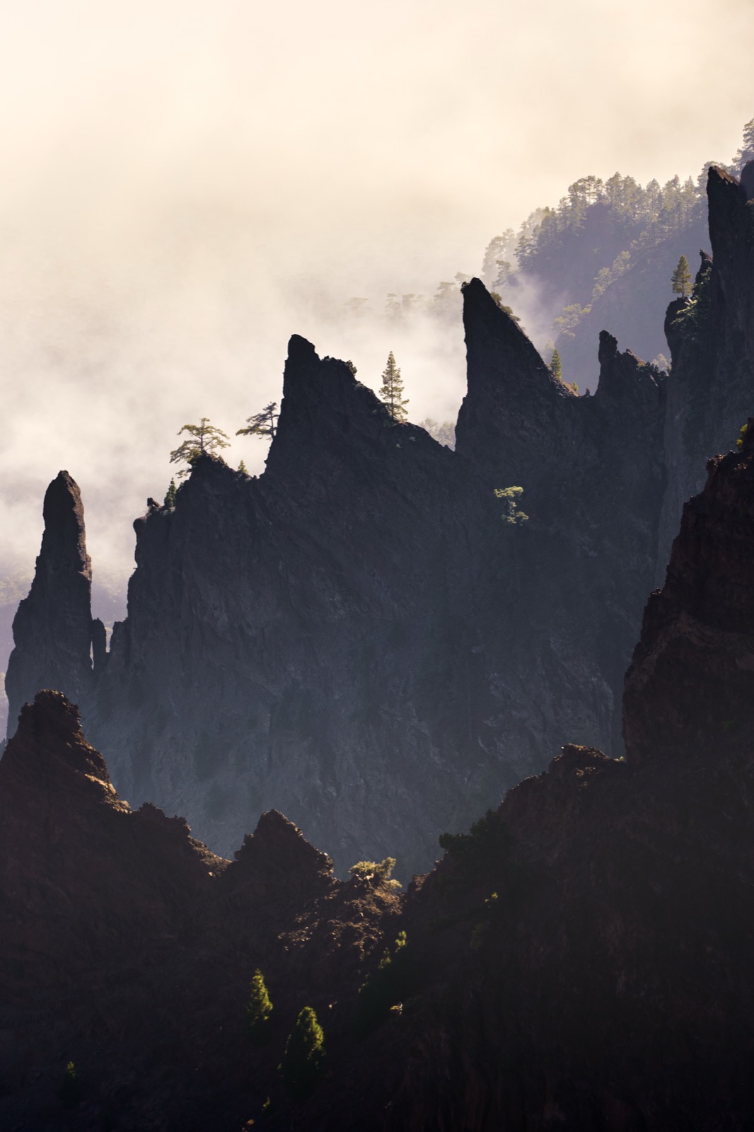 La Palma – Dominik Skála