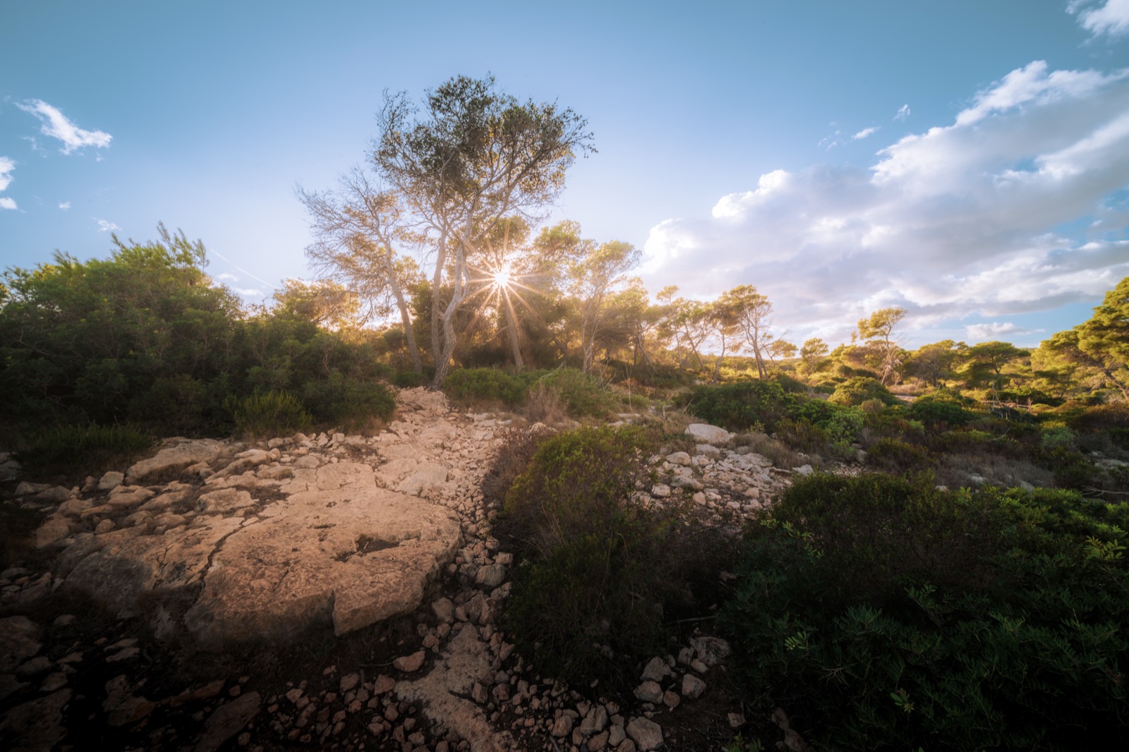 Mallorca – Dominik Skála