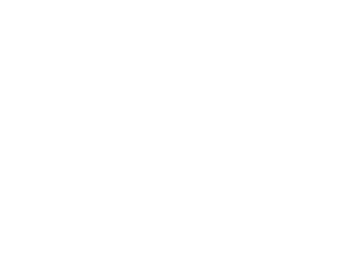 Dominik Skála – logo